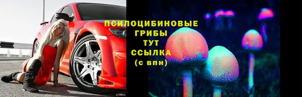крисы Белокуриха