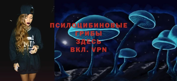 крисы Белокуриха