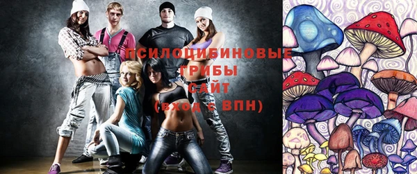 шишки Белоозёрский