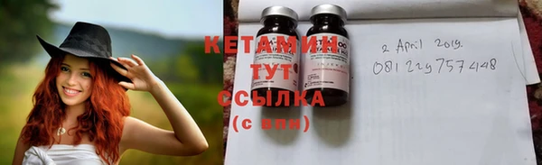 шишки Белоозёрский
