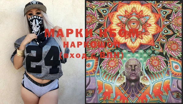 шишки Белоозёрский