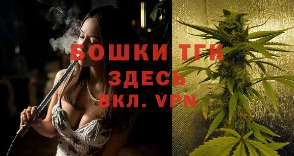 шишки Белоозёрский