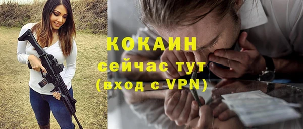шишки Белоозёрский