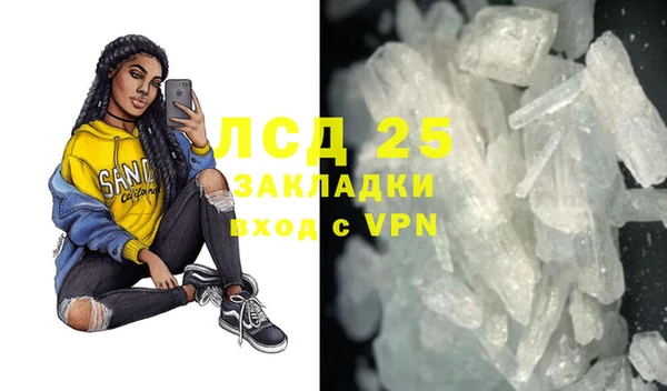 шишки Белоозёрский